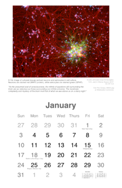 Wiki Science Calendar sample.png